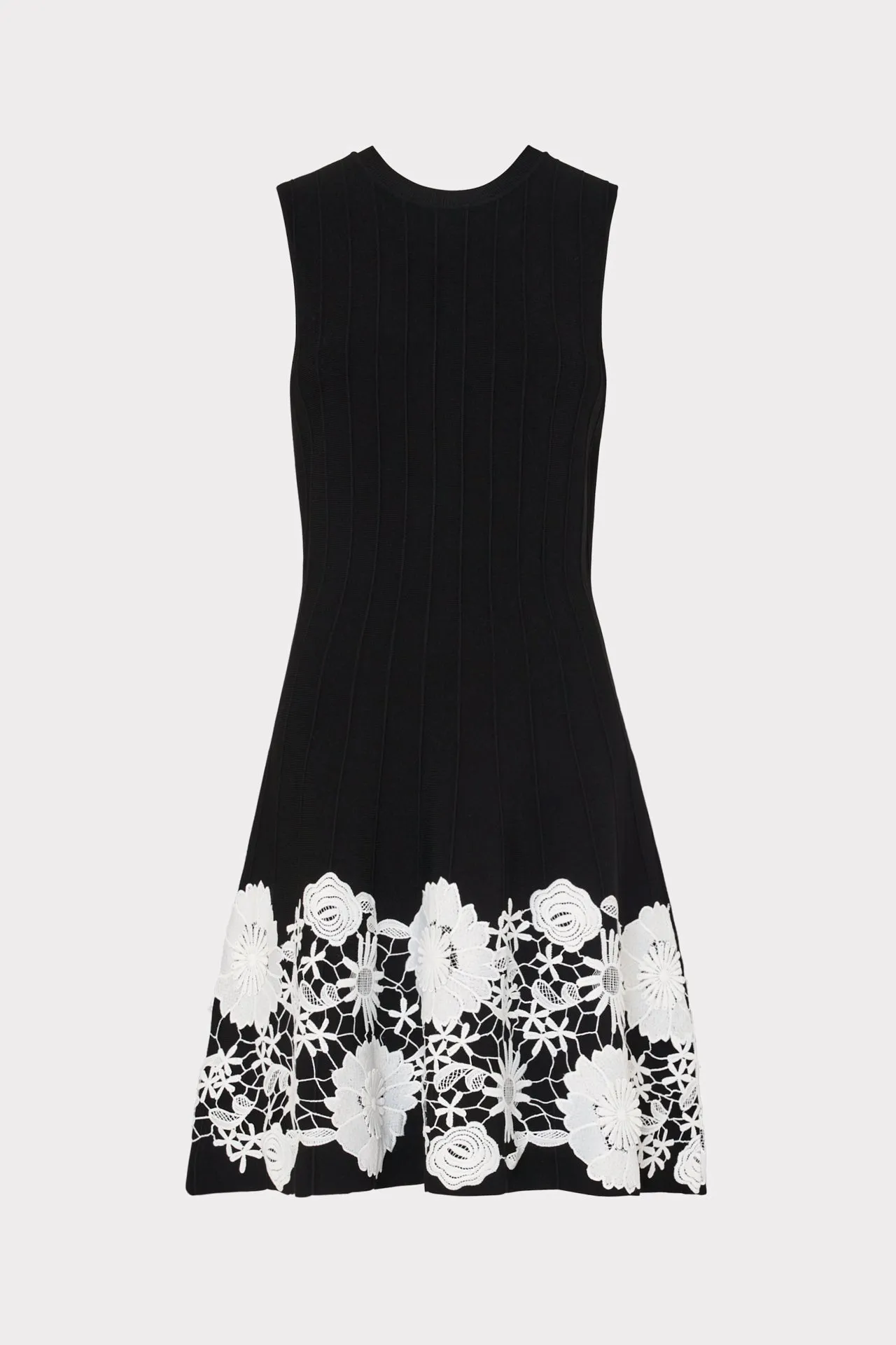 Sleeveless Lace Trim Fit And Flare Dress